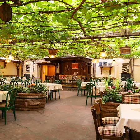 אורחן Gaestehaus Korf 3*